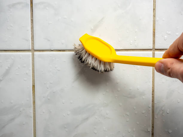 Best Attic Mold Removal  in Lacon, IL