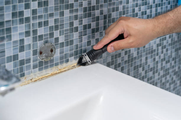 Best Residential Mold Removal  in Lacon, IL